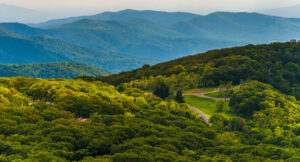 Blue Ridge Mountains landscape showing Central Virginia's lush pollen-season tree coverage