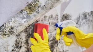 Mold on walls can signal a hidden water leak in your home